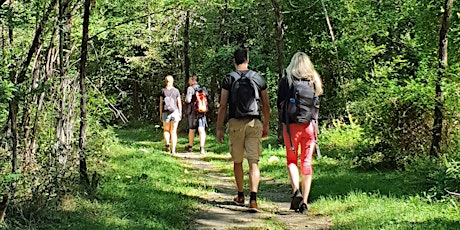 Hauptbild für Inspirational Walk - mit Coaching & Klang