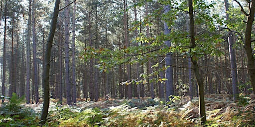 Hauptbild für Wilder Blean Community Advisory Group Meeting