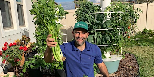 Hauptbild für Starting your Vegetable Garden