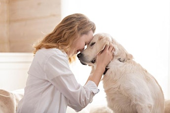 Therapy dogs visit to Clayton Library