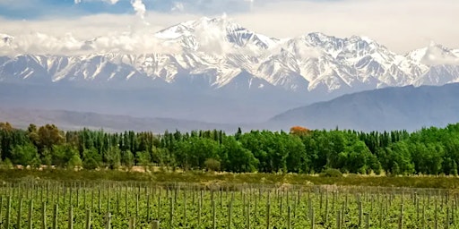 Hauptbild für Wine Lunch with Bodega Chacra: Patagonia’s Gem