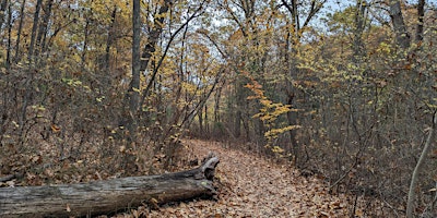 Hiking in the Fells…Trekking S-L-O-W with Carol Andrulli & Jeff Adams primary image