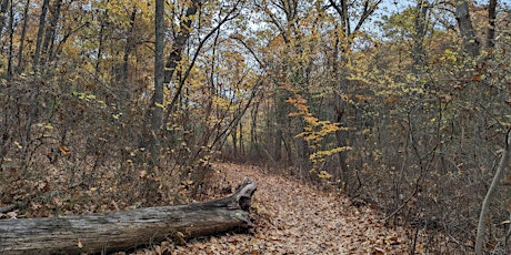 Hiking in the Fells…Trekking S-L-O-W with Carol Andrulli & Jeff Adams