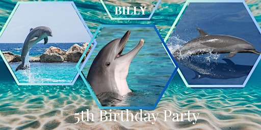 Image principale de "Billy's the Dolphin 5's  Birthday  Party"