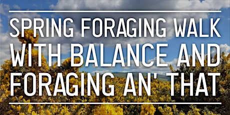 Spring Foraging Walk with Balance & Foraginganthat
