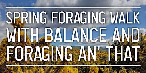 Imagem principal de Spring Foraging Walk with Balance & Foraginganthat