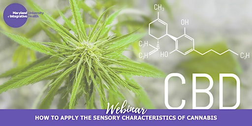 Imagem principal de Webinar | How to Apply the Sensory Characteristics of Cannabis