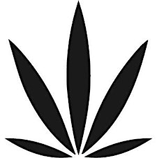Organizer profile image