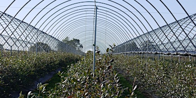 Primaire afbeelding van Blueberry Farm Tour 2024 - 20th May