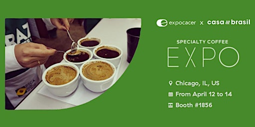 Imagem principal do evento Expocacer Cupping Sessions: SCA Expo 2024