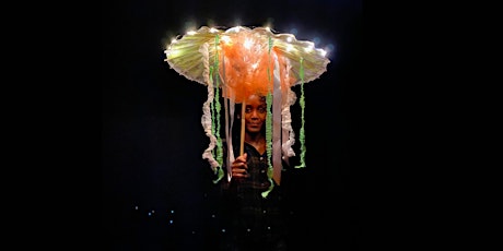 Aqualumina Workshop: Jellyfish Parasols