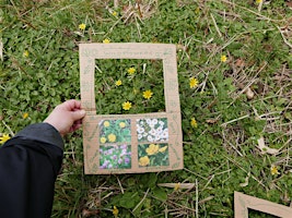Swanwick Lakes  Wildlife Tots:  Plants and Seeds! primary image