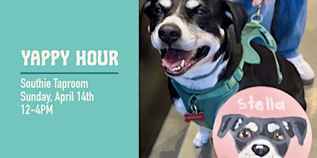 Yappy Hour at Castle Island (South Boston)