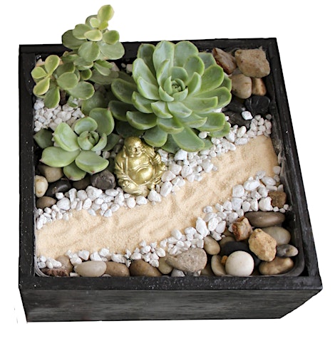 Hauptbild für Plant Nite: Make a Succulent Terrarium