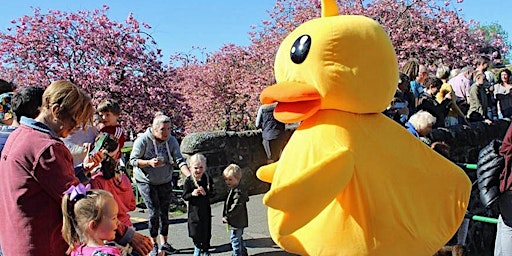 Dollar Duck Race