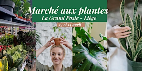 Marché aux plantes à Liège