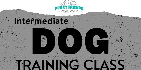 Intermediate - Dog Training
