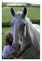 Dancing with Horses primary image