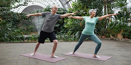 Free Chair Yoga with Janina in Orchard Park, SC