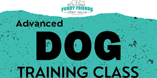 Imagen principal de Advanced  Dog Training