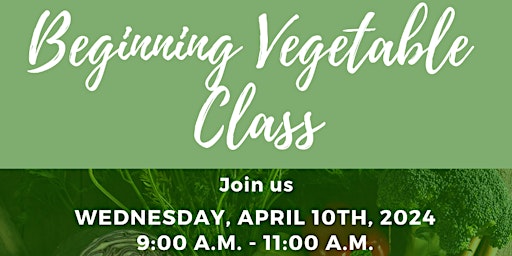 Imagem principal de Beginning Veggie Class