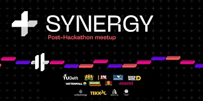 Imagen principal de Synergy Post-Hackathon meetup #1 (Dutch spoken)