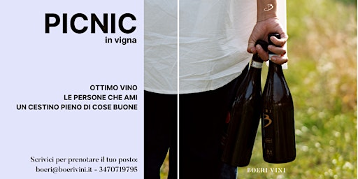 Immagine principale di Pic Nic In Vigna 