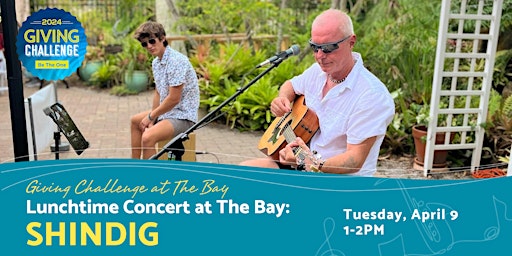 Primaire afbeelding van Lunchtime Concert at The Bay featuring Shindig