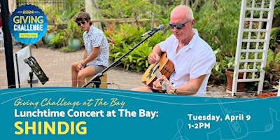 Primaire afbeelding van Lunchtime Concert at The Bay featuring Shindig