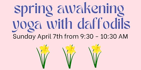 Spring Awakening Yoga with Daffodils