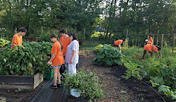 Hauptbild für Don Coppedge Village Garden Work Day