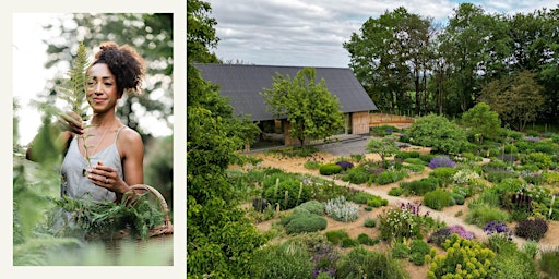 Plant Library Cutting Garden Tour & Floral Masterclass with Hazel Gardiner