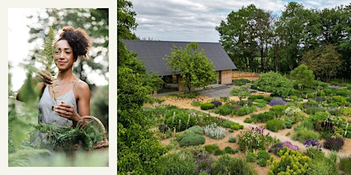 Image principale de Plant Library Cutting Garden Tour & Floral Masterclass with Hazel Gardiner