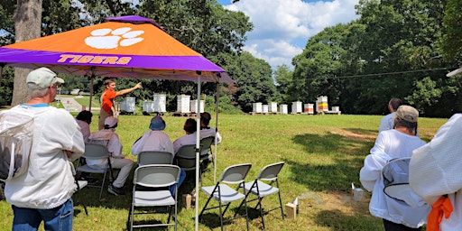 Hauptbild für CLEMSON HIVE DIVE