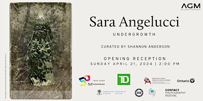 Primaire afbeelding van Opening Reception: Sara Angelucci | Undergrowth