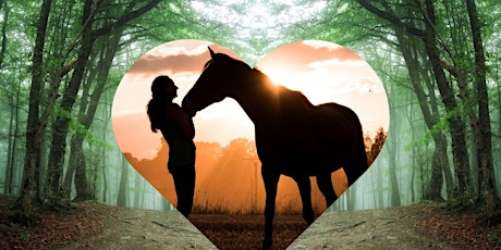 Forest Bathing with Horses at Forest Meadow Ranch