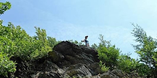 Primaire afbeelding van So,12.05.24 Wanderdate Singlewandern Wispertalsteig im Taunus für 35-55J