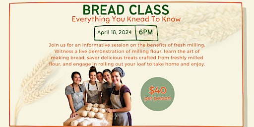 Primaire afbeelding van Bread Class - Everything You KNEAD to Know!!