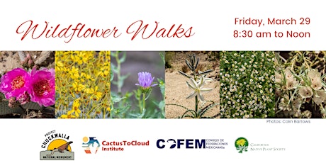 Wildflower Walk - March 29