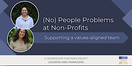 (No) People Problems at Non-Profits