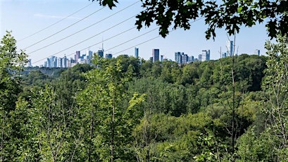 NatureTO: Our Urban Forest