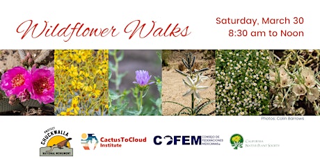 Wildflower Walk - March 30