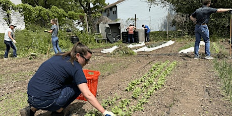 Park Spring Apartments Garden Work Day