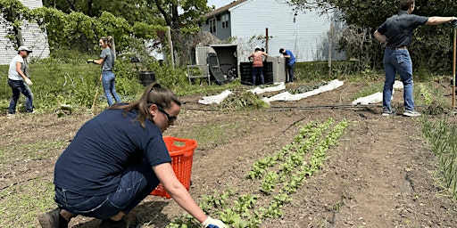 Primaire afbeelding van Park Spring Apartments Garden Work Day