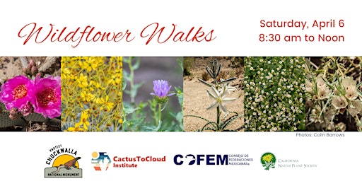 Image principale de Wildflower Walk - April 6