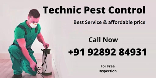 Imagem principal do evento Termite pest control Delhi +9192892 84931