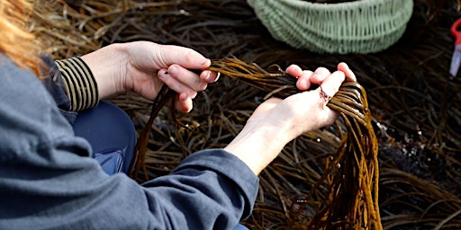 Seaweed Pressing Workshop, Devoran primary image