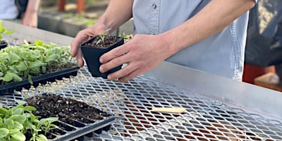 Immagine principale di Seed Starting 101 at the YouthGROW Farm 