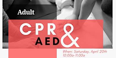 Imagem principal do evento Adult CPR & AED Training