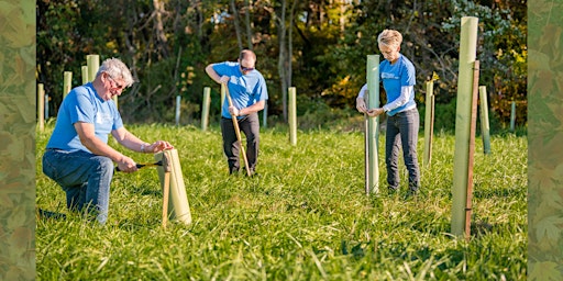 Tree Planting Day 1 primary image